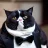 FatCatTuxedo