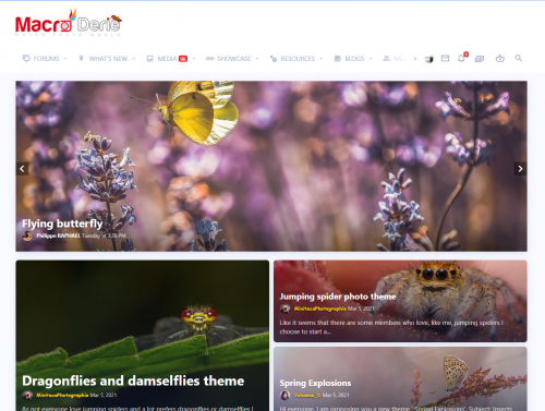 Screenshot from https://macroderie.com/